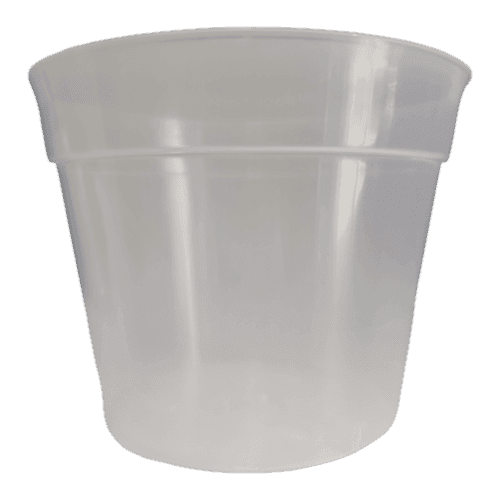 Cserép orchidea 15cm